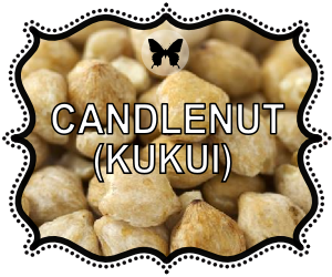 Candlenut Oil