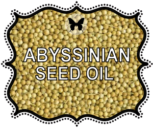 Abyssinian Seed Oils