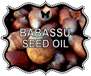 Babassu Seed Oils