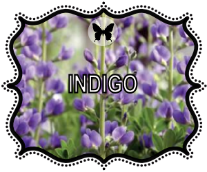 indigo botanical