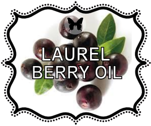 Laurel Berry fruit oils