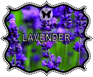 Lavender