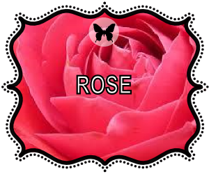 Rose botanical