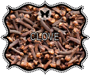 clove spice